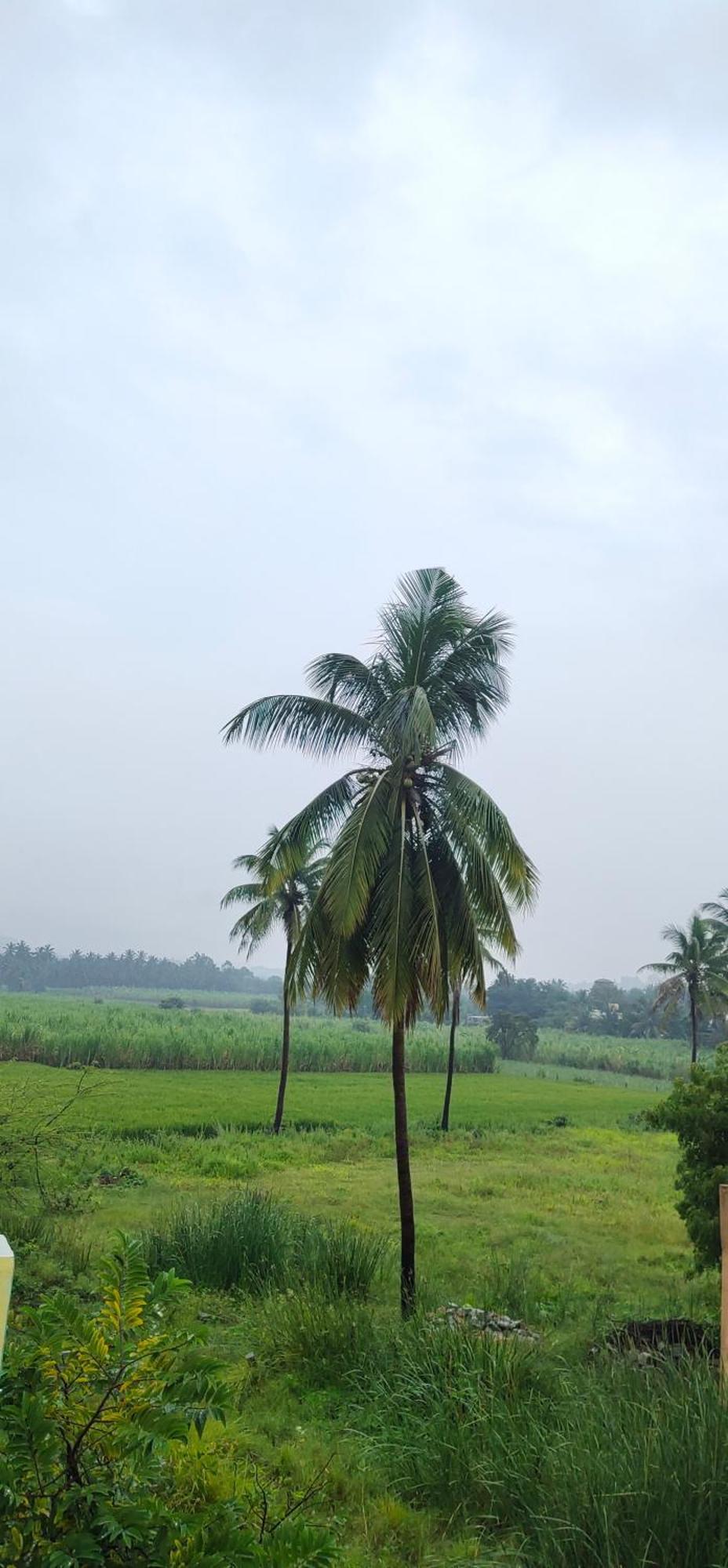 Raj Homestay Hampi Ngoại thất bức ảnh